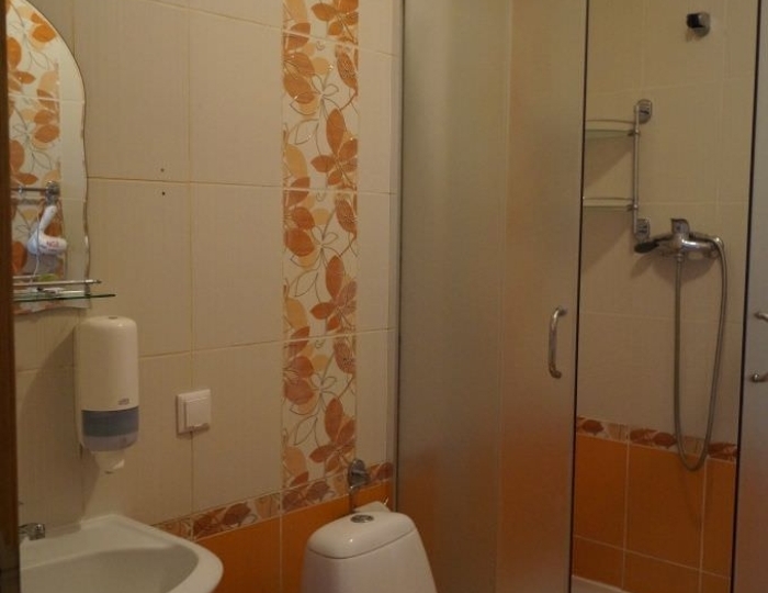 Люкс 1-местный корпус 4, 7 (5, 15) - Санаторий «Надзея» Беларусь