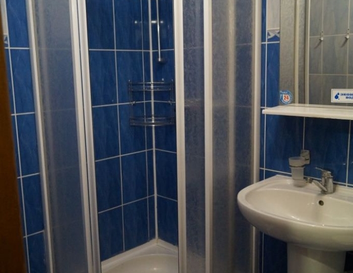 Полулюкс 2-местный корпус 2,3 - Санаторий «Надзея» Беларусь